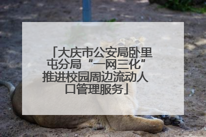 大庆市公安局卧里屯分局“一网三化”推进校园周边流动人口管理服务