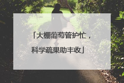 大棚葡萄管护忙，科学疏果助丰收