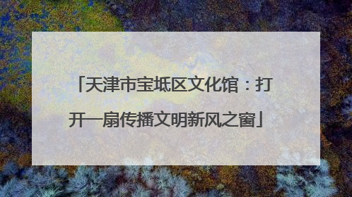 天津市宝坻区文化馆：打开一扇传播文明新风之窗