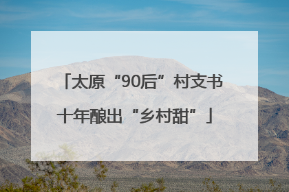 太原“90后”村支书十年酿出“乡村甜”