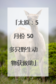 太原：5月份 50多只野生动物获救助
