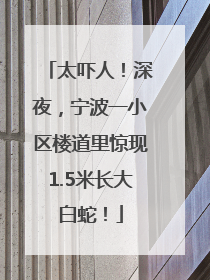 太吓人！深夜，宁波一小区楼道里惊现1.5米长大白蛇！