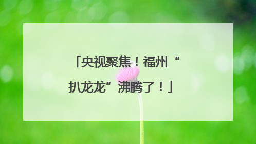 央视聚焦！福州“扒龙龙”沸腾了！