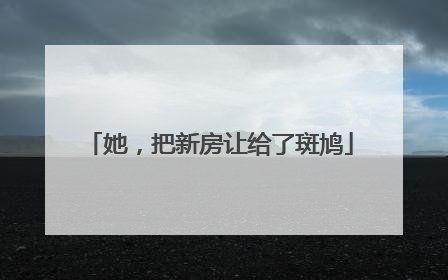 她，把新房让给了斑鸠