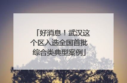 好消息！武汉这个区入选全国首批综合类典型案例