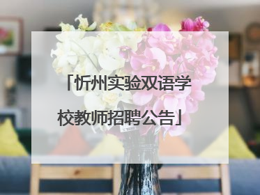 忻州实验双语学校教师招聘公告