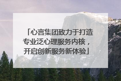心言集团致力于打造专业泛心理服务内核，开启创新服务新体验