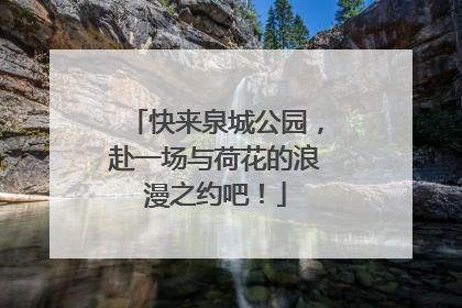 快来泉城公园，赴一场与荷花的浪漫之约吧！