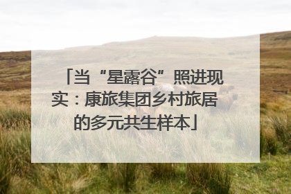 当“星露谷”照进现实：康旅集团乡村旅居的多元共生样本
