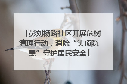 彭刘杨路社区开展危树清理行动，消除“头顶隐患”守护居民安全