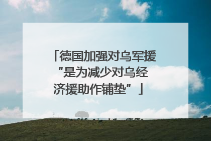 德国加强对乌军援 “是为减少对乌经济援助作铺垫”