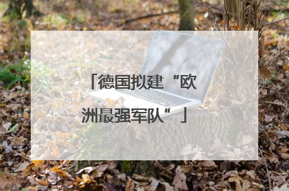 德国拟建“欧洲最强军队”