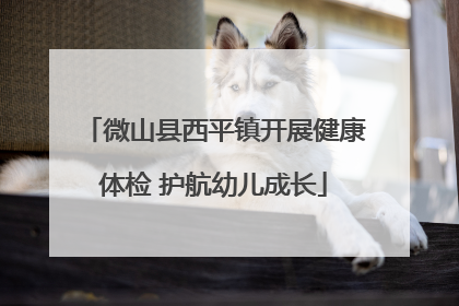 微山县西平镇开展健康体检 护航幼儿成长