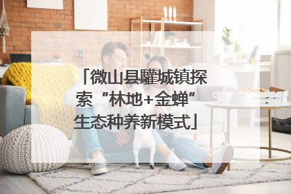 微山县驩城镇探索“林地+金蝉”生态种养新模式