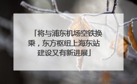 将与浦东机场空铁换乘，东方枢纽上海东站建设又有新进展