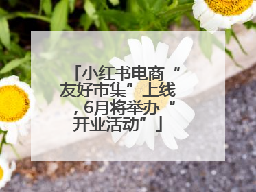 小红书电商“友好市集”上线，6月将举办“开业活动”