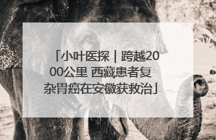 小叶医探｜跨越2000公里 西藏患者复杂胃癌在安徽获救治