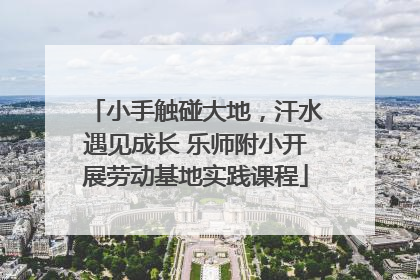 小手触碰大地，汗水遇见成长 乐师附小开展劳动基地实践课程