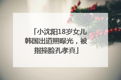 小沈阳18岁女儿韩国出道照曝光，被指撞脸孔孝真