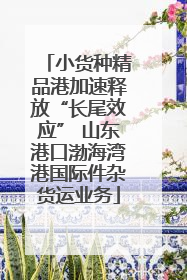 小货种精品港加速释放“长尾效应” 山东港口渤海湾港国际件杂货运业务