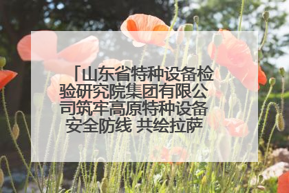 山东省特种设备检验研究院集团有限公司筑牢高原特种设备安全防线 共绘拉萨美好生活画卷