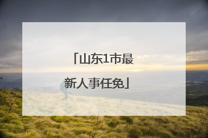 山东1市最新人事任免