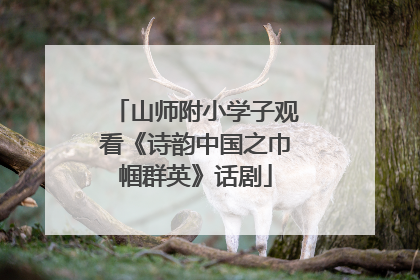 山师附小学子观看《诗韵中国之巾帼群英》话剧