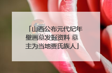 山西公布元代纪年壁画墓发掘资料 墓主为当地贾氏族人