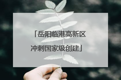 岳阳临港高新区冲刺国家级创建