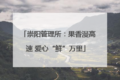 崇阳管理所：果香漫高速 爱心“鲜”万里