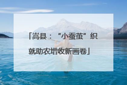 嵩县：“小蚕茧”织就助农增收新画卷