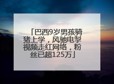 巴西9岁男孩骑猪上学，风驰电掣视频走红网络，粉丝已超125万