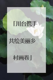 川台携手共绘美丽乡村画卷
