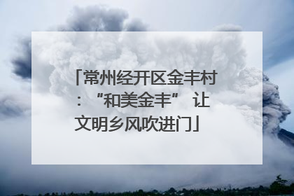 常州经开区金丰村：“和美金丰” 让文明乡风吹进门