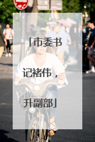 市委书记褚伟，升副部