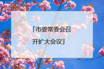 市委常委会召开扩大会议