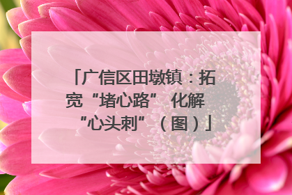 广信区田墩镇：拓宽“堵心路” 化解“心头刺”（图）