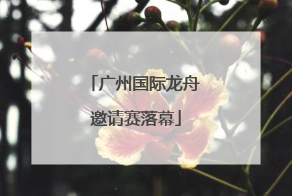 广州国际龙舟邀请赛落幕