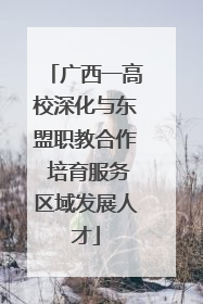 广西一高校深化与东盟职教合作 培育服务区域发展人才