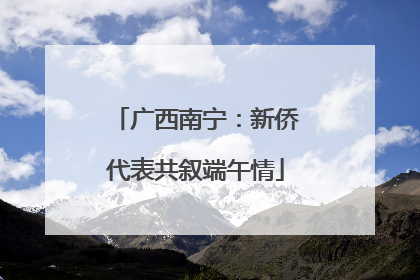 广西南宁：新侨代表共叙端午情