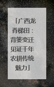 广西龙脊梯田：背篓变迁见证千年农耕传统魅力