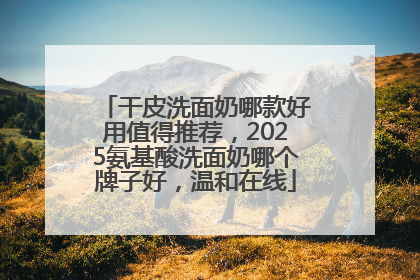 干皮洗面奶哪款好用值得推荐，2025氨基酸洗面奶哪个牌子好，温和在线