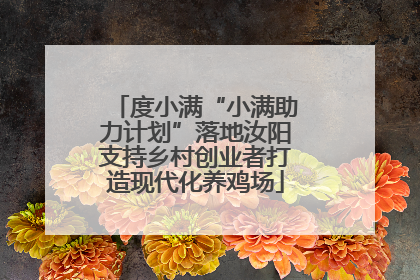 度小满“小满助力计划”落地汝阳支持乡村创业者打造现代化养鸡场