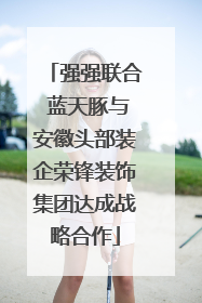 强强联合 蓝天豚与安徽头部装企荣锋装饰集团达成战略合作
