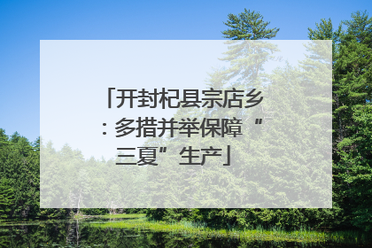 开封杞县宗店乡：多措并举保障“三夏”生产