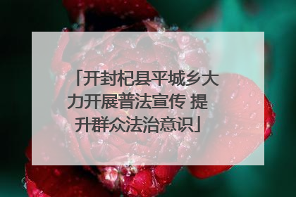 开封杞县平城乡大力开展普法宣传 提升群众法治意识