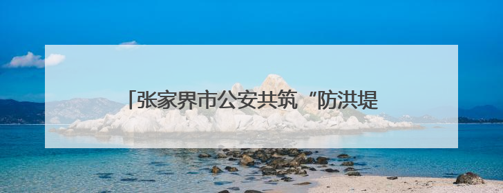 张家界市公安共筑“防洪堤”：向险而行 守护安澜