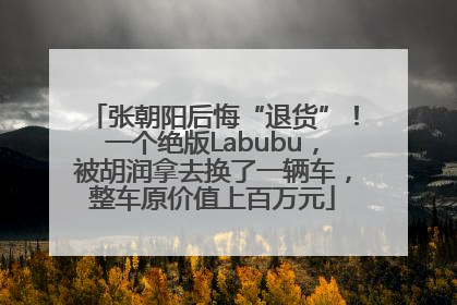 张朝阳后悔“退货”！一个绝版Labubu，被胡润拿去换了一辆车，整车原价值上百万元