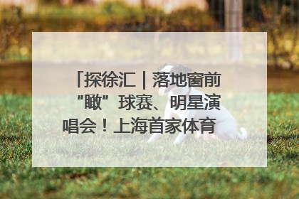 探徐汇｜落地窗前“瞰”球赛、明星演唱会！上海首家体育特色高端酒店亮相