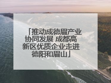 推动成德眉产业协同发展 成都高新区优质企业走进德阳和眉山